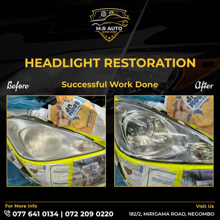 81d5022f611e42299663e46c5278937b